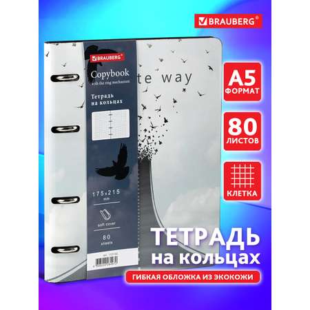 Общая тетрадь Brauberg клетка 80 лист.