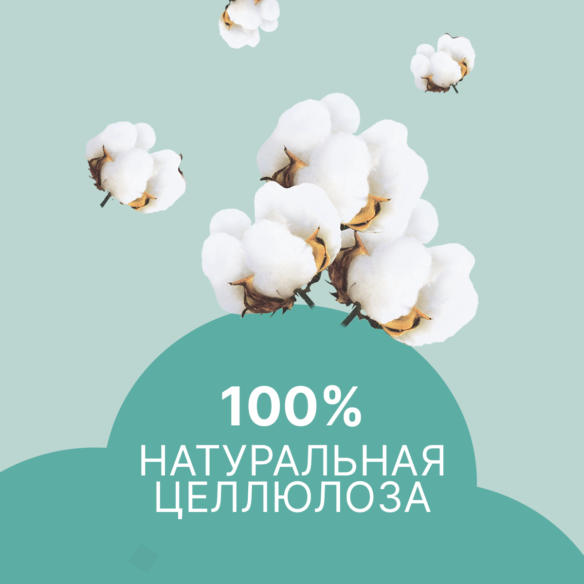 Ежедневные прокладки Ola! Silk Sense Daily ежедневные 60x3 уп.180 - фото 5