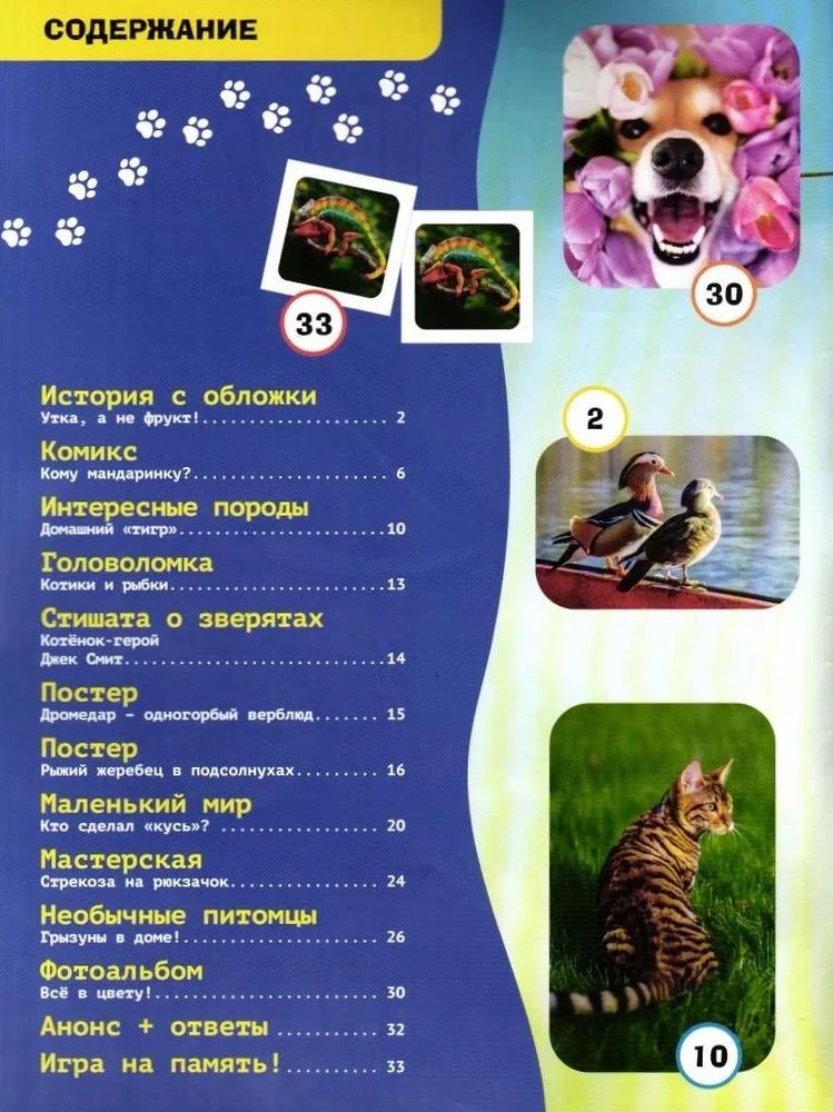 Набор детских журналов ИД Лев Тошка 1/25 и 6/25 - фото 7