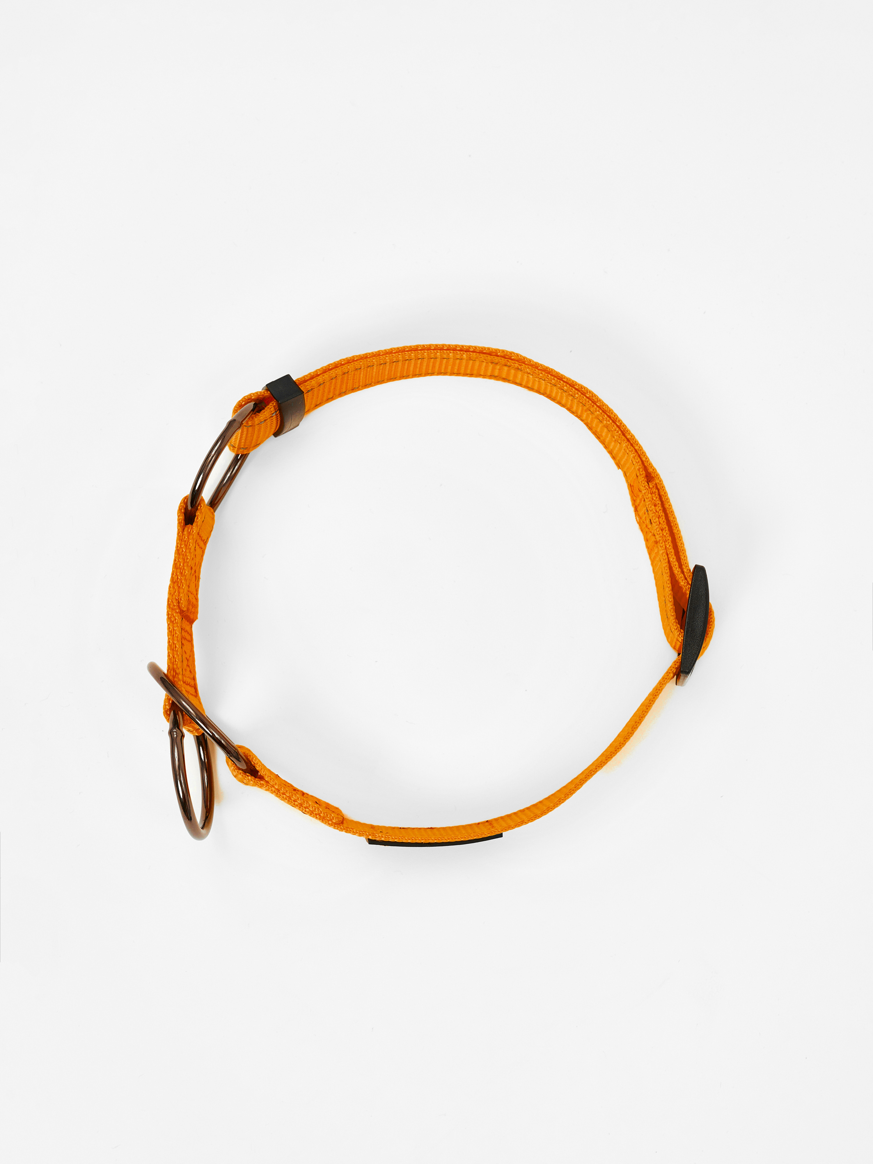 Ошейник для собак Easy Pets 5013 Half-choke collar оранжевый р-р XS 20-30см - фото 13