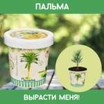 Набор для выращивания Rostok Visa