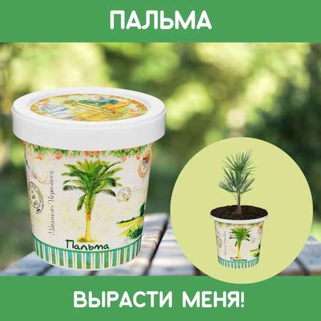 Набор для выращивания Rostok Visa