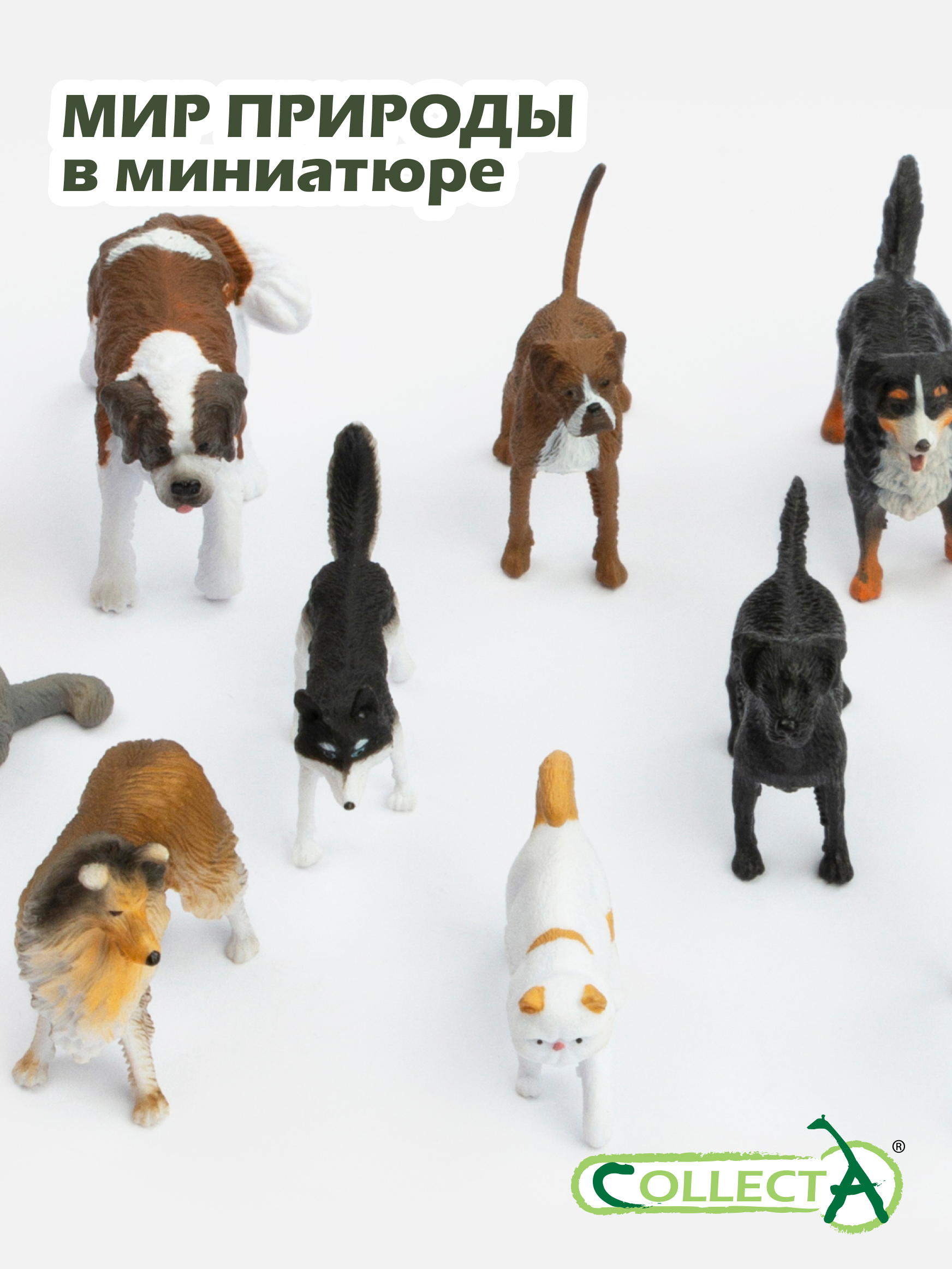 Игровой набор Collecta Кошки и собаки 12шт 4.2см - фото 5