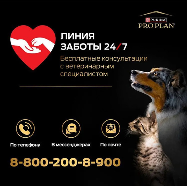 Корм сухой для котят PRO PLAN 10 кг с индейкой с чувствительным пищеварением - фото 21
