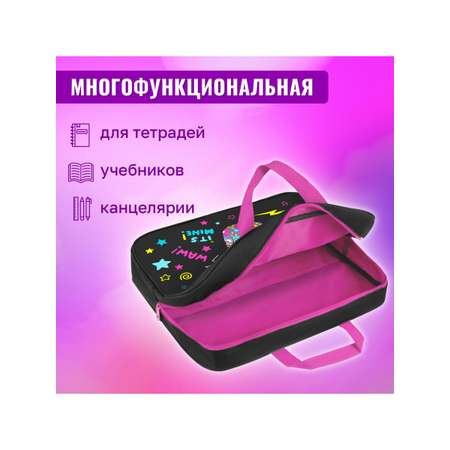 Папка-сумка Brauberg портфель для бумаг с ручками на молнии
