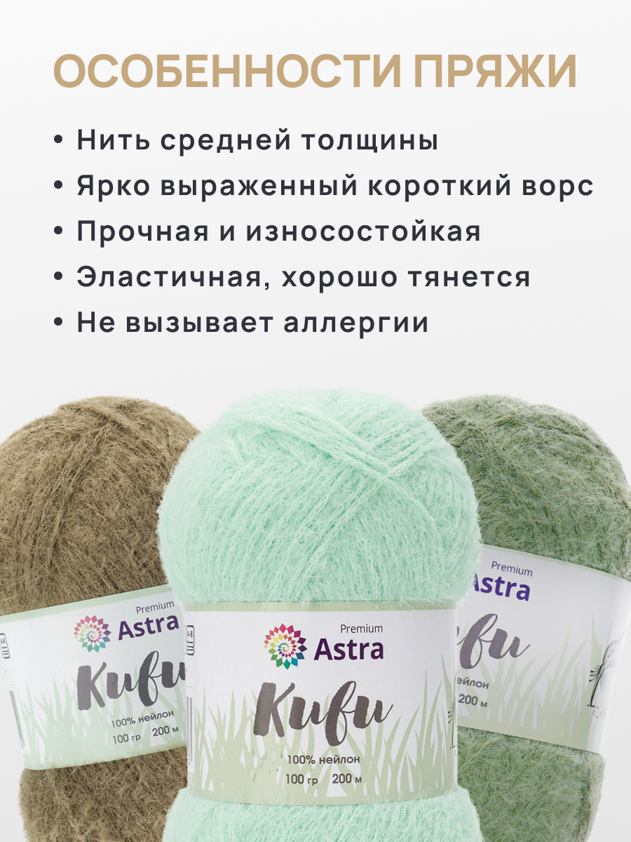Пряжа для вязания Astra Premium 100г 200м 3шт - фото 3