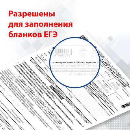 Ручка капиллярная Brauberg 12 шт.