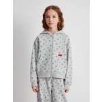 Толстовка Acoola