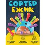 Игрушка NR-Toys сортер Ёжик Спайк