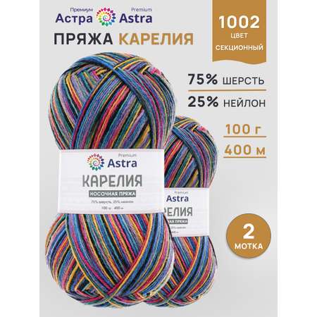 Пряжа для вязания Astra Premium карелия носочная шерсть нейлон 100 гр 400 м цвет 1002 2 мотка
