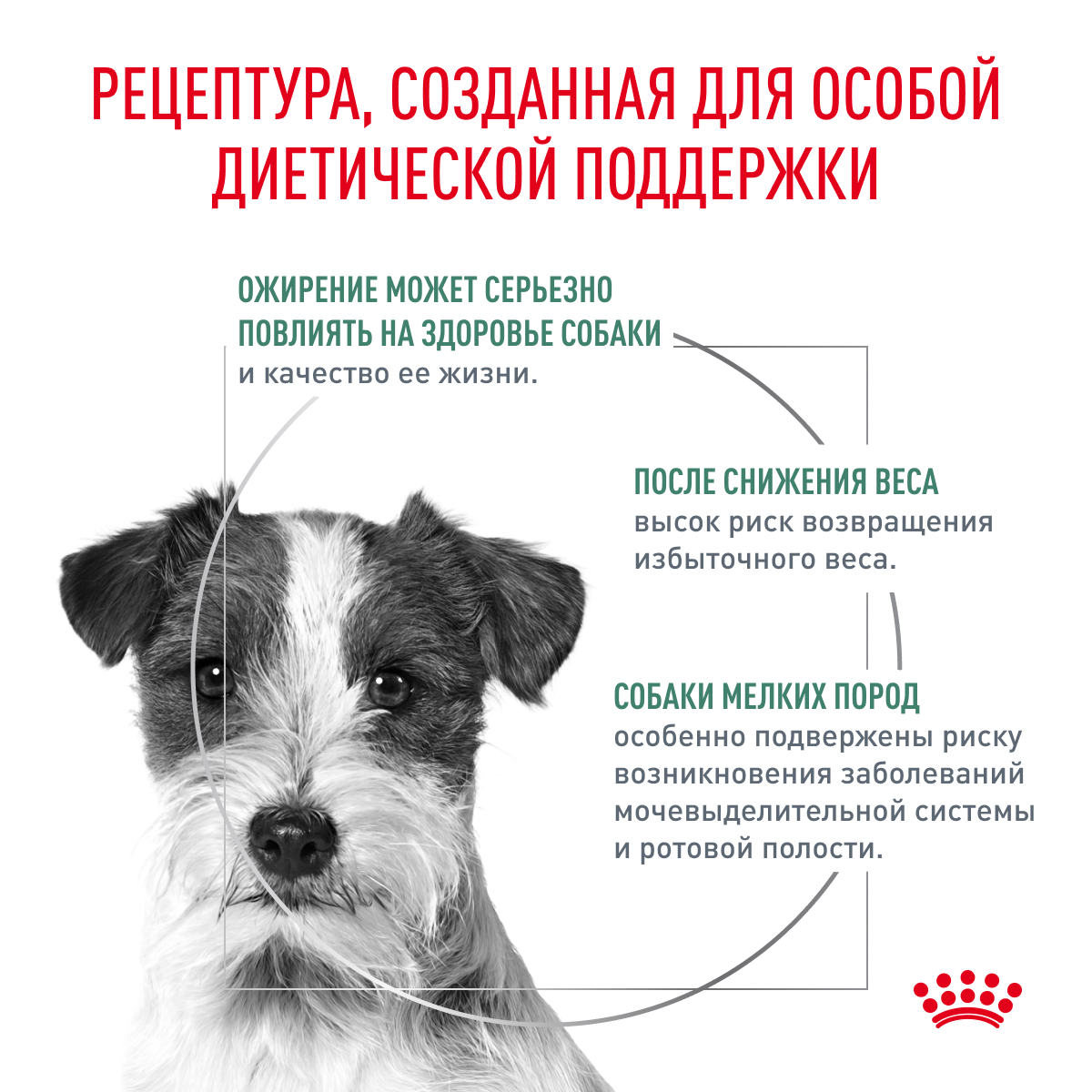 Корм для собак Royal Canin 3кг полнорационный для взрослых собак мелких пород для снижения веса - фото 2