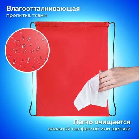 Сумка Пифагор