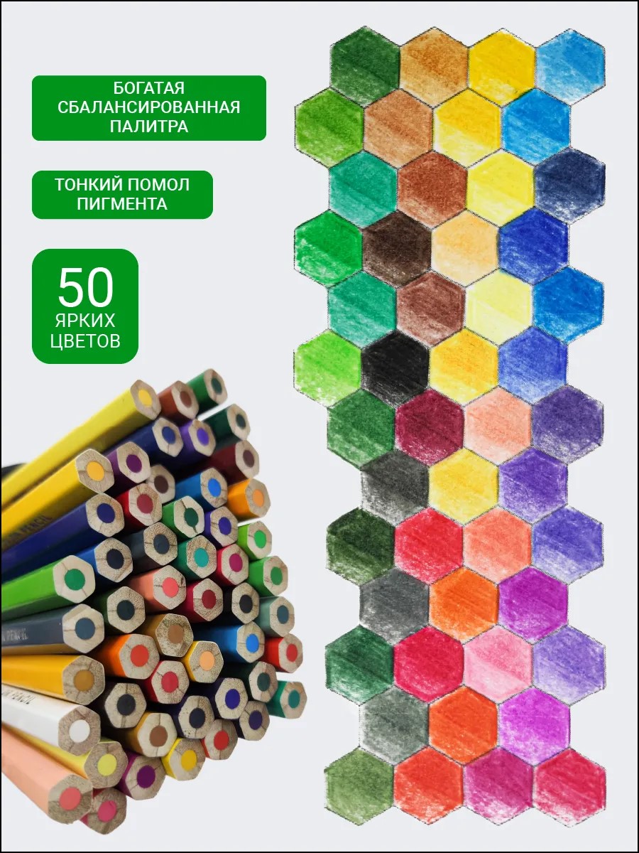 Карандаши цветные AXLER 50 шт. - фото 2