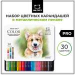 Карандаши цветные Малевичъ 30 шт.