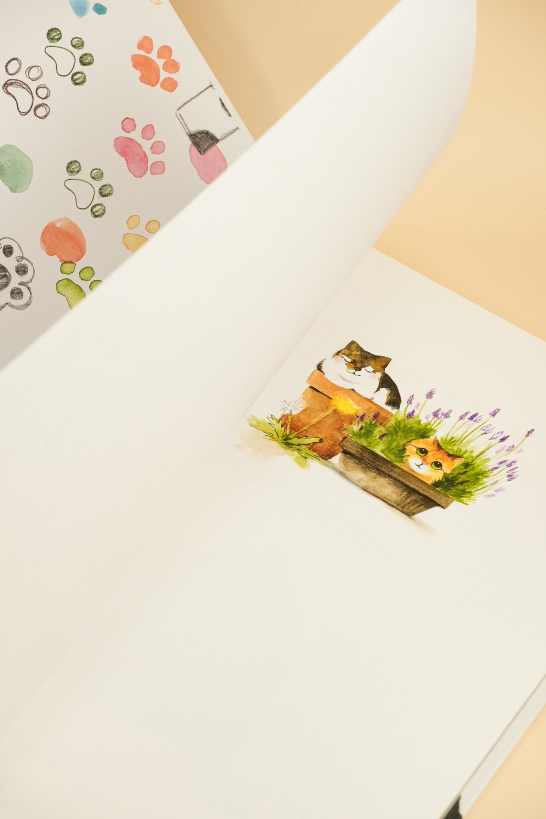 Книга Махаон Энц. Бурсе К. Невероятные коты. Всё, что нужно знать о любимых питомцах - фото 11