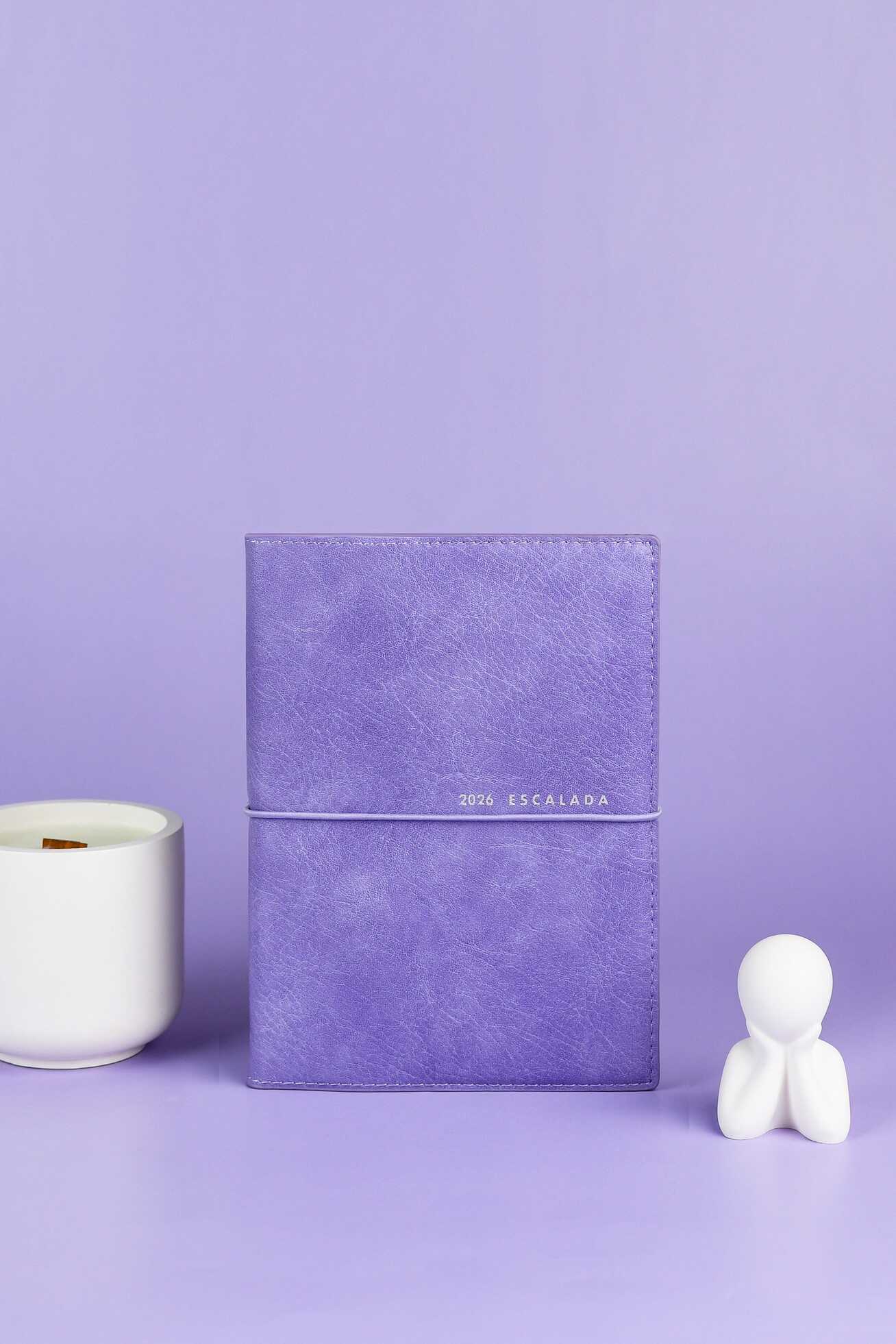 Ежедневник Феникс + ESCALADA 128 лист. - фото 13