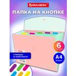 Папка-органайзер Brauberg персиковая с мятным А4