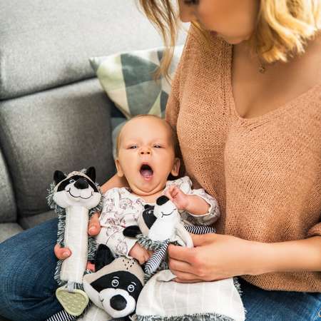 Прорезыватель Babyono Енот Rocky в ассортименте