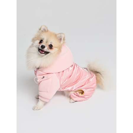 Комбинезон для собак PIFPAF DOG
