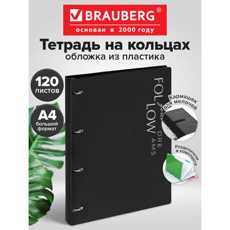 Тетрадь со сменным блоком Brauberg клетка 120 лист.
