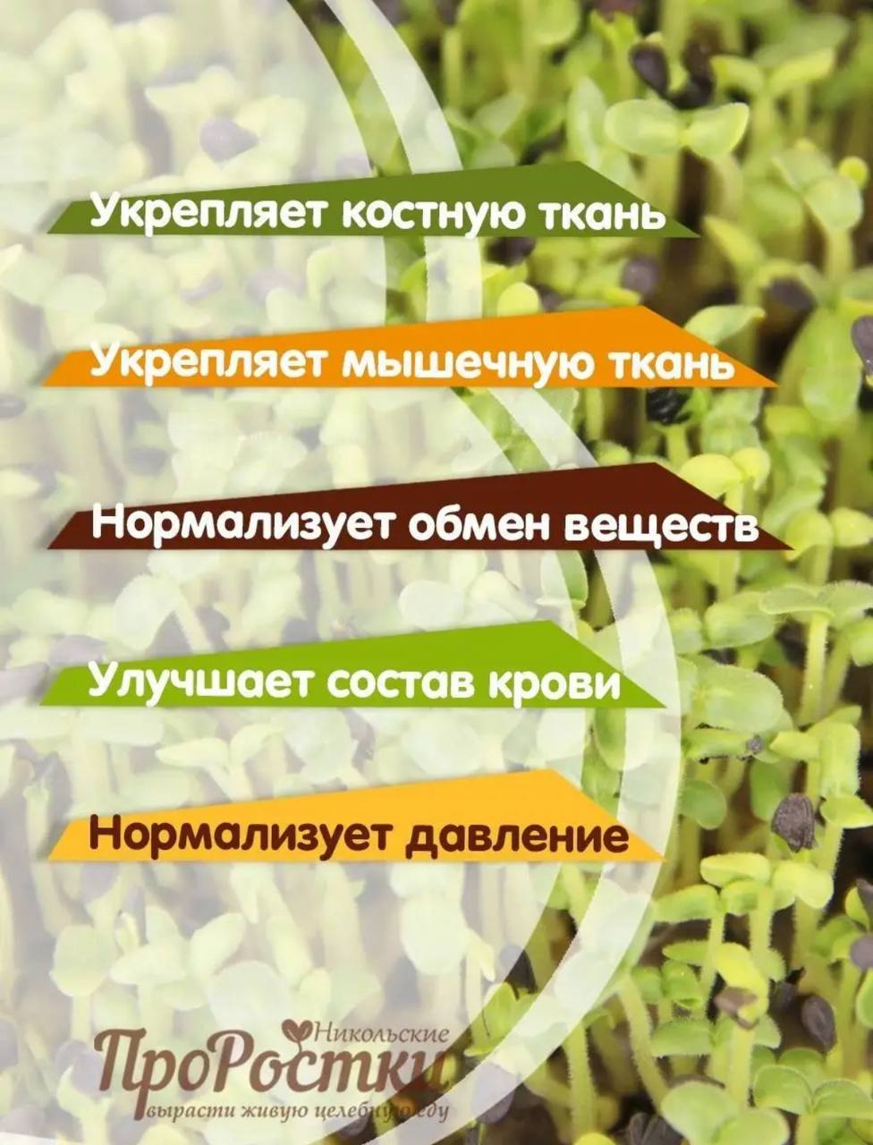 Семена для микрозелени MegaMedia кунжут черный - фото 6