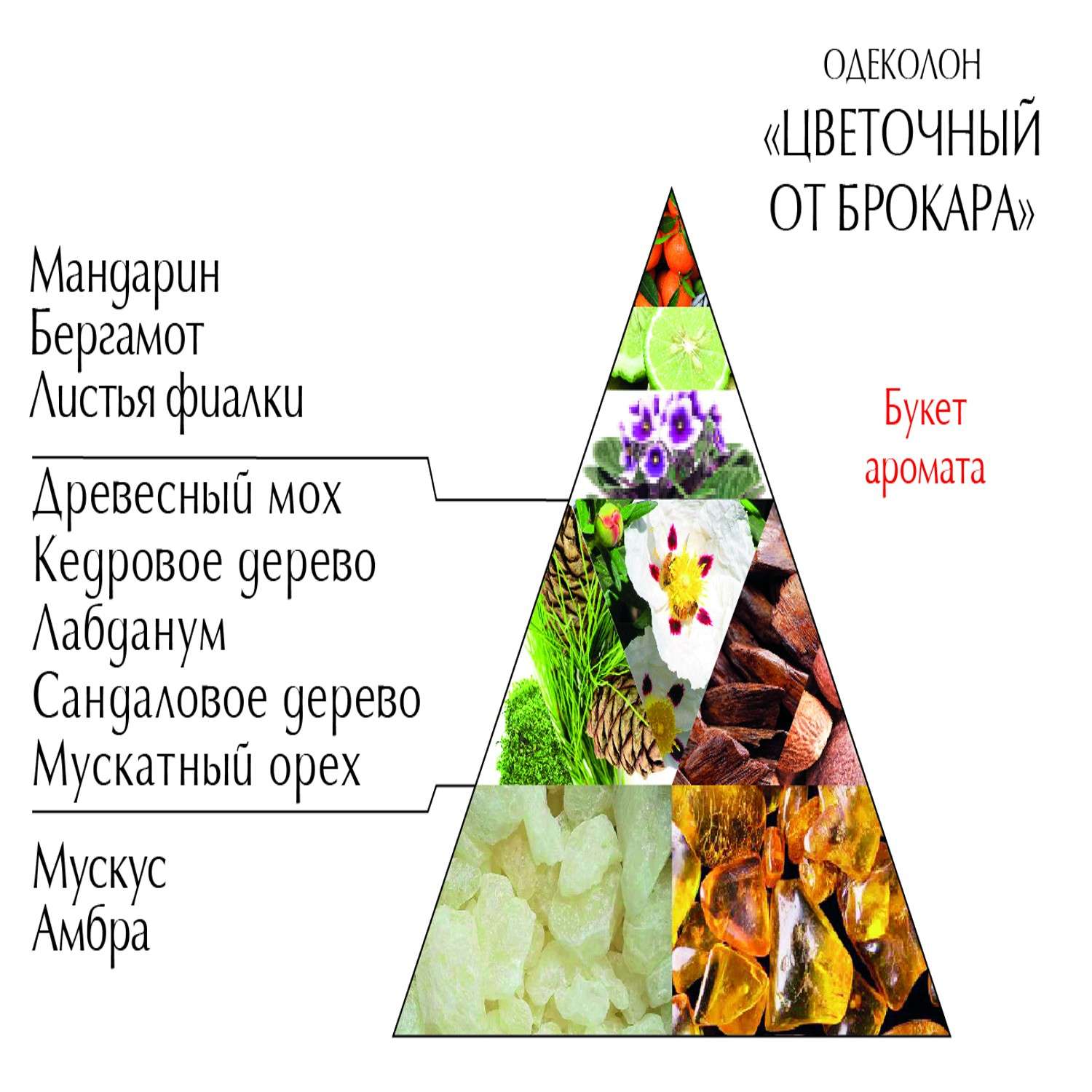 Одеколон Новая заря Цветочный от Брокара 85мл - фото 2