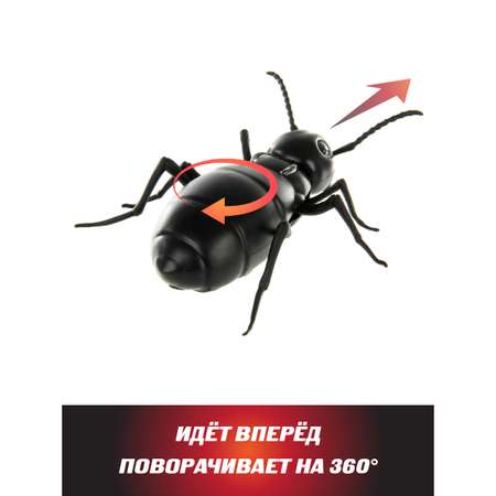 Насекомое РУ Veld Co Жук