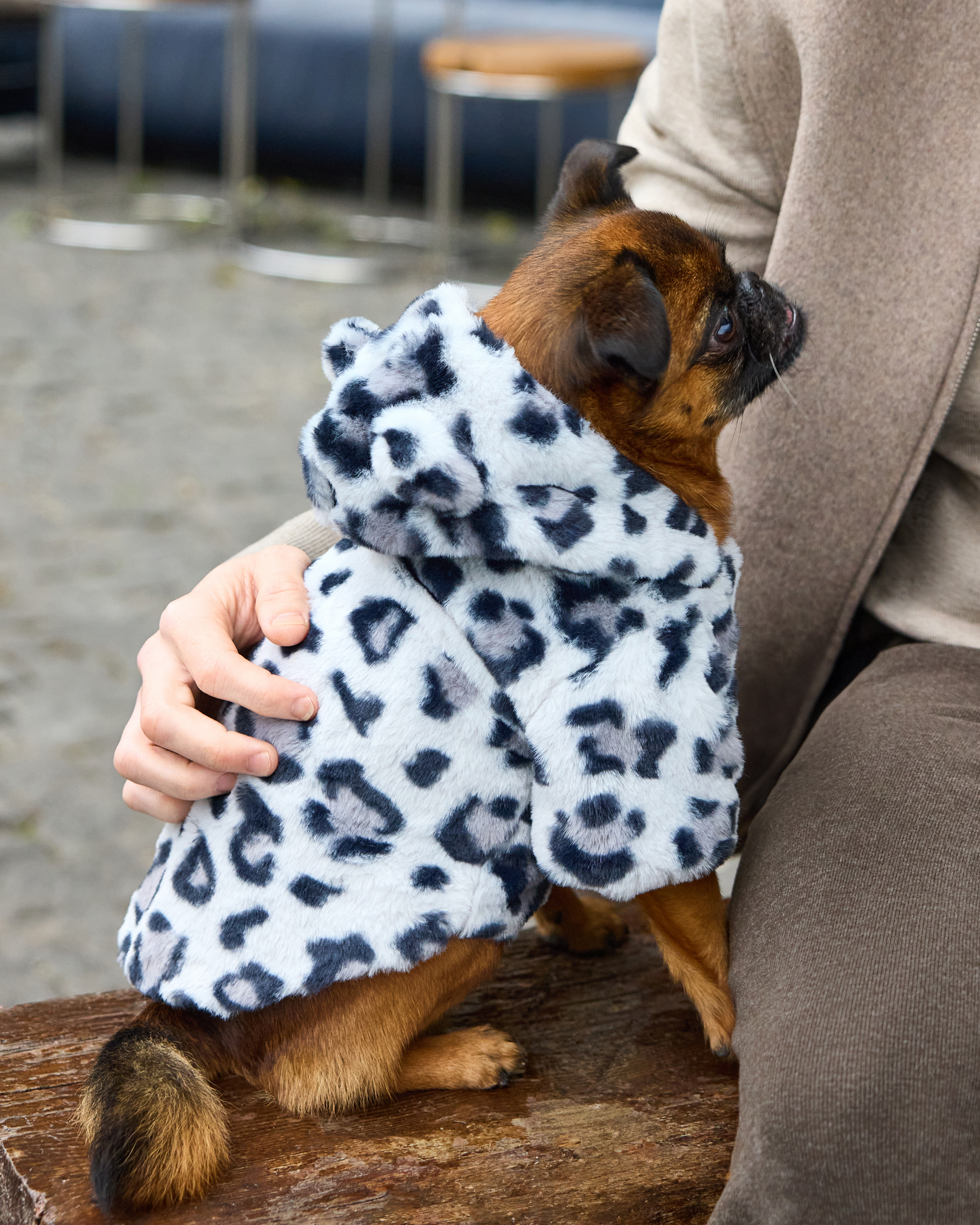 Куртка для собак и кошек Зоозавр - фото 11