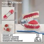 Наглядное пособие Sima-Land
