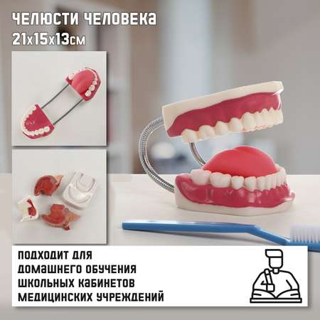 Наглядное пособие Sima-Land