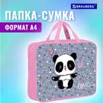 Папка для тетрадей Brauberg А4