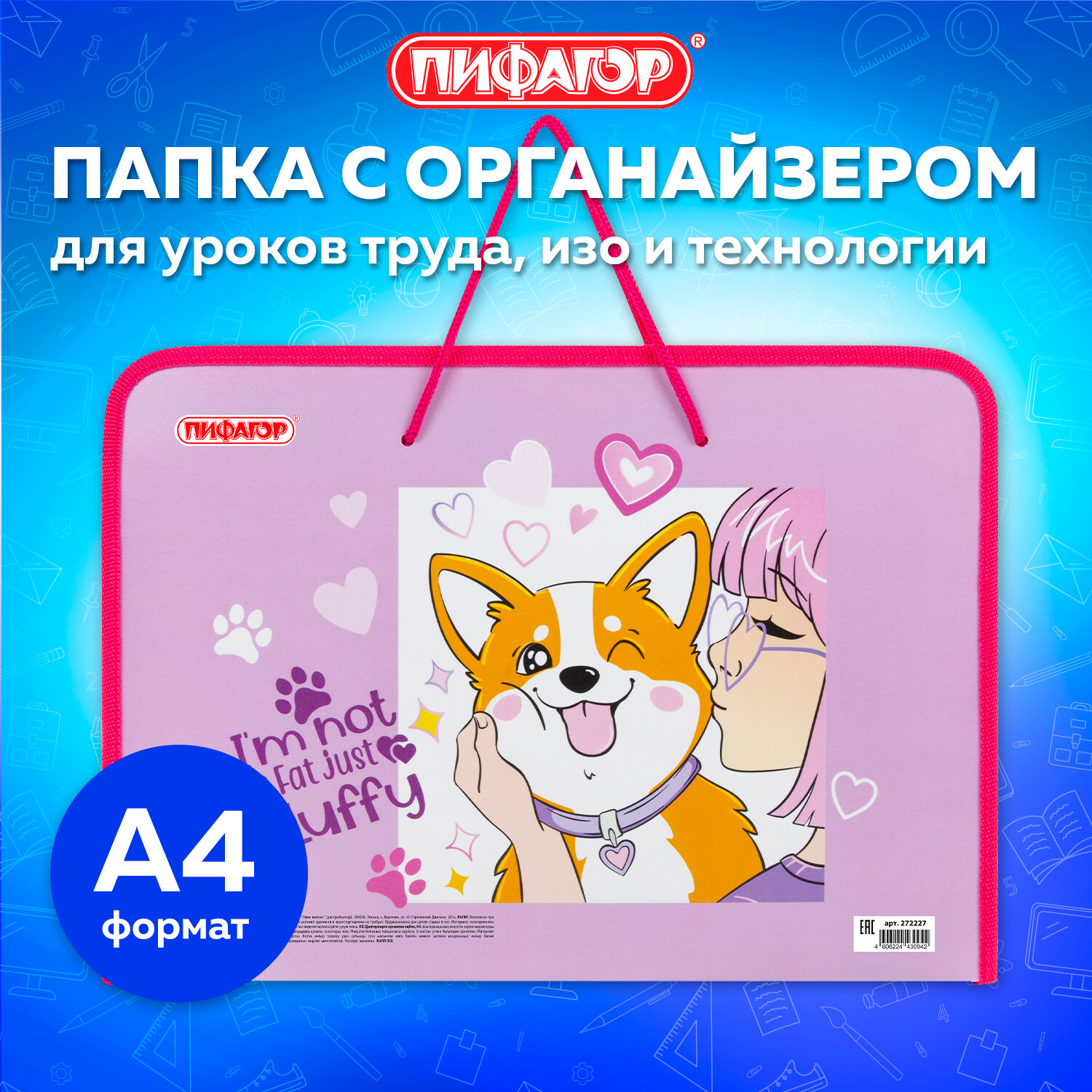 Папка для тетрадей Пифагор А4 - фото 1