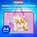 Папка для тетрадей Пифагор А4
