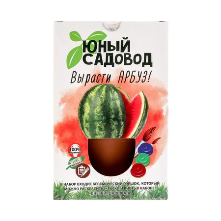 Настольная игра ВИСМА