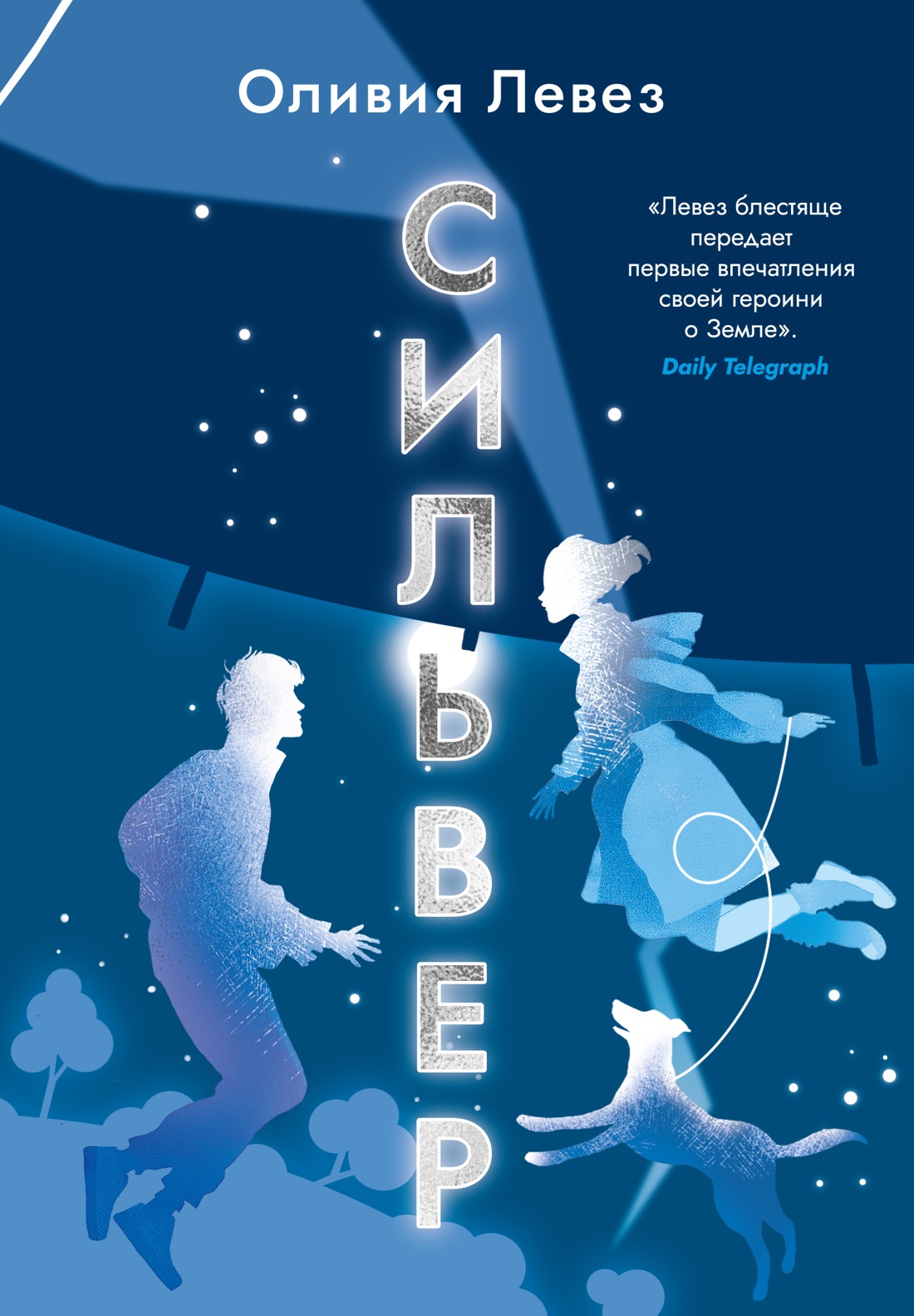 Книга АЗБУКА Сильвер - фото 1