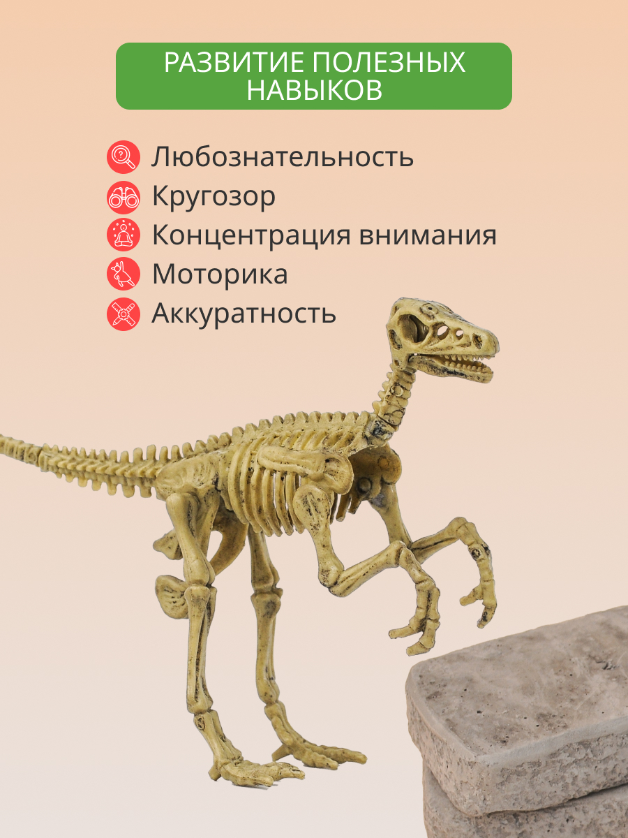 Набор для раскопок KONIK Science - фото 8