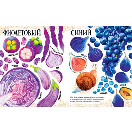Первые книжки малыша Clever Приключения улитки Элли в мире фруктов и овощей (мягкая обложка)