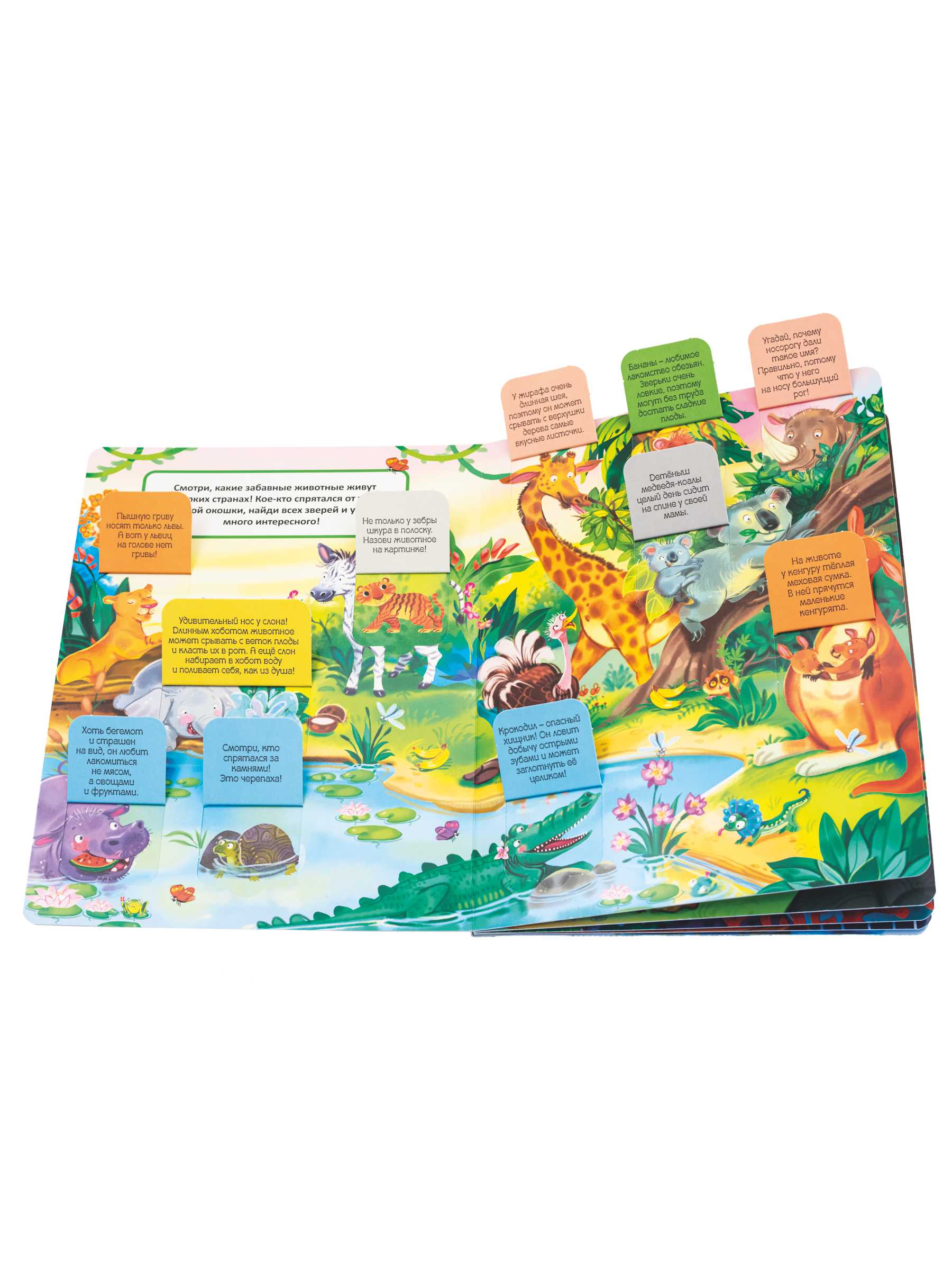 Книжка BimBiMon с окошками Эти забавные животные - фото 9