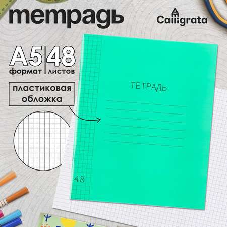 Тетрадь Calligrata клетка
