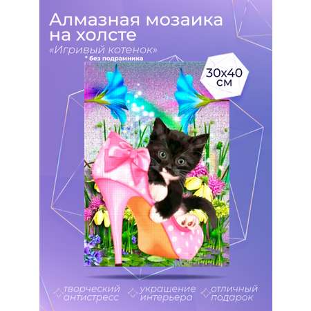 Алмазная мозаика Solmax Игривый котенок