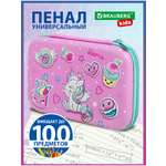 Пенал футляр Brauberg