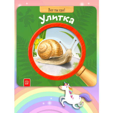 Книга Лабиринт Вот ты где! Улитка