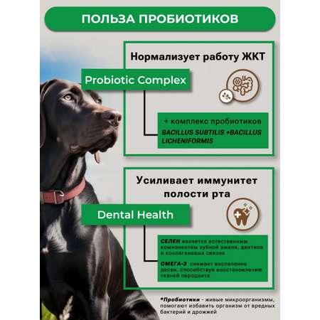Сухой корм Frais Duck Plus для собак средних и крупных пород