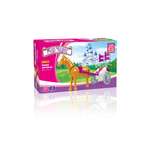 Конструктор AUSINI Мир чудес 44 дет.