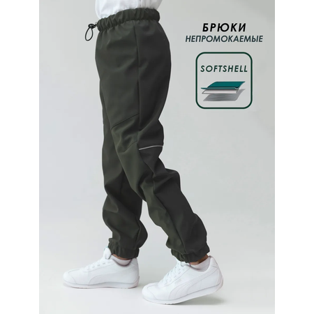 Брюки Lemonwear