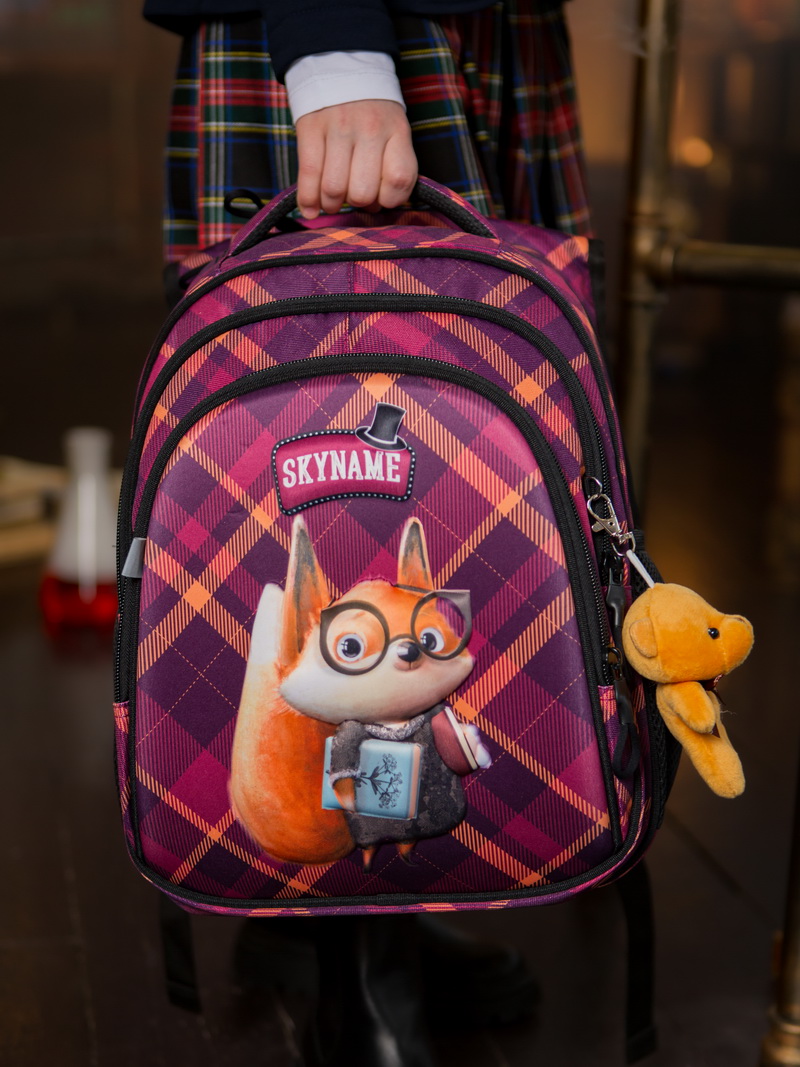Рюкзак SkyName 17л анатомическая спинка+мишка - фото 4