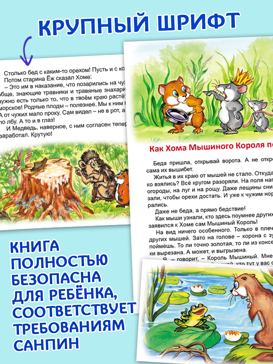 Книга Алтей Вокруг света с Хомой и Сусликом - фото 14
