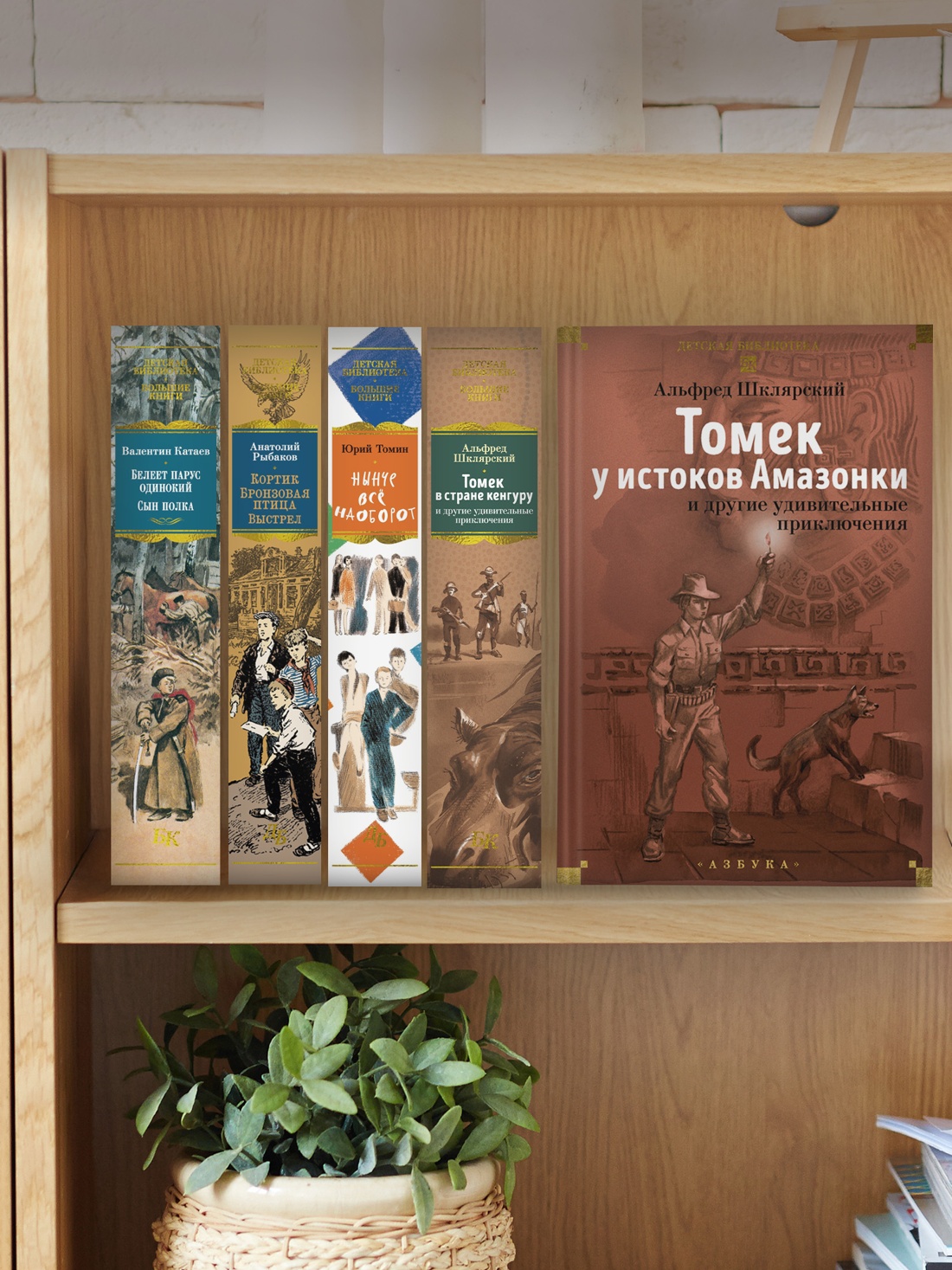 Книга АЗБУКА Томек у истоков Амазонки и другие удивительные приключения - фото 10