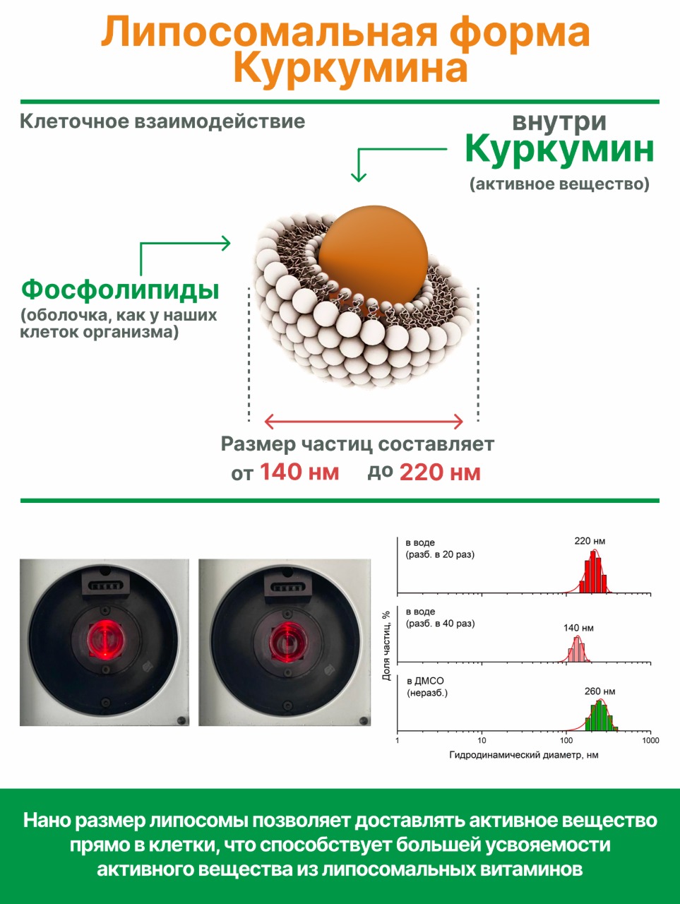 Концентрат Алтайские традиции Липосомальный куркумин Диабетин - фото 5
