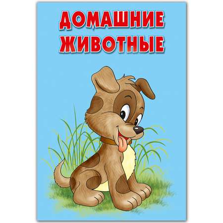 Карточки РУЗ Ко Домашние и дикие животные